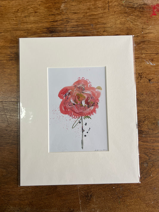 ‘Single Stem Pink Rose’ Limited Edition Print Mounted